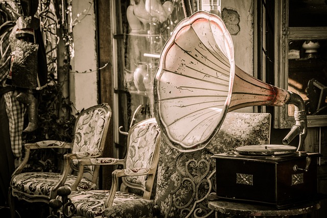 flea-market-1262036_640_Image par pixabay.com de Gerhard Bögnera